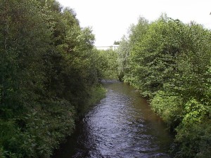 2001.08.06 15.32.10.jpg